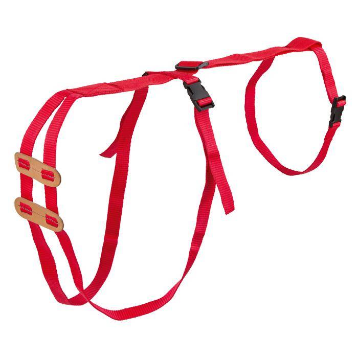 Vorfallbandage für Schafe - fäulnisfest - waschbar