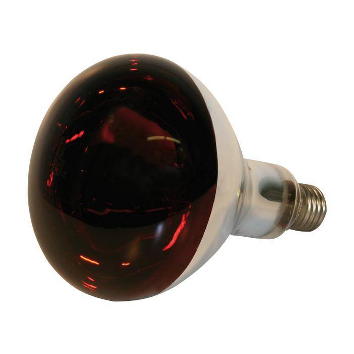 Infrarotlampe - 250 W - Hartglas