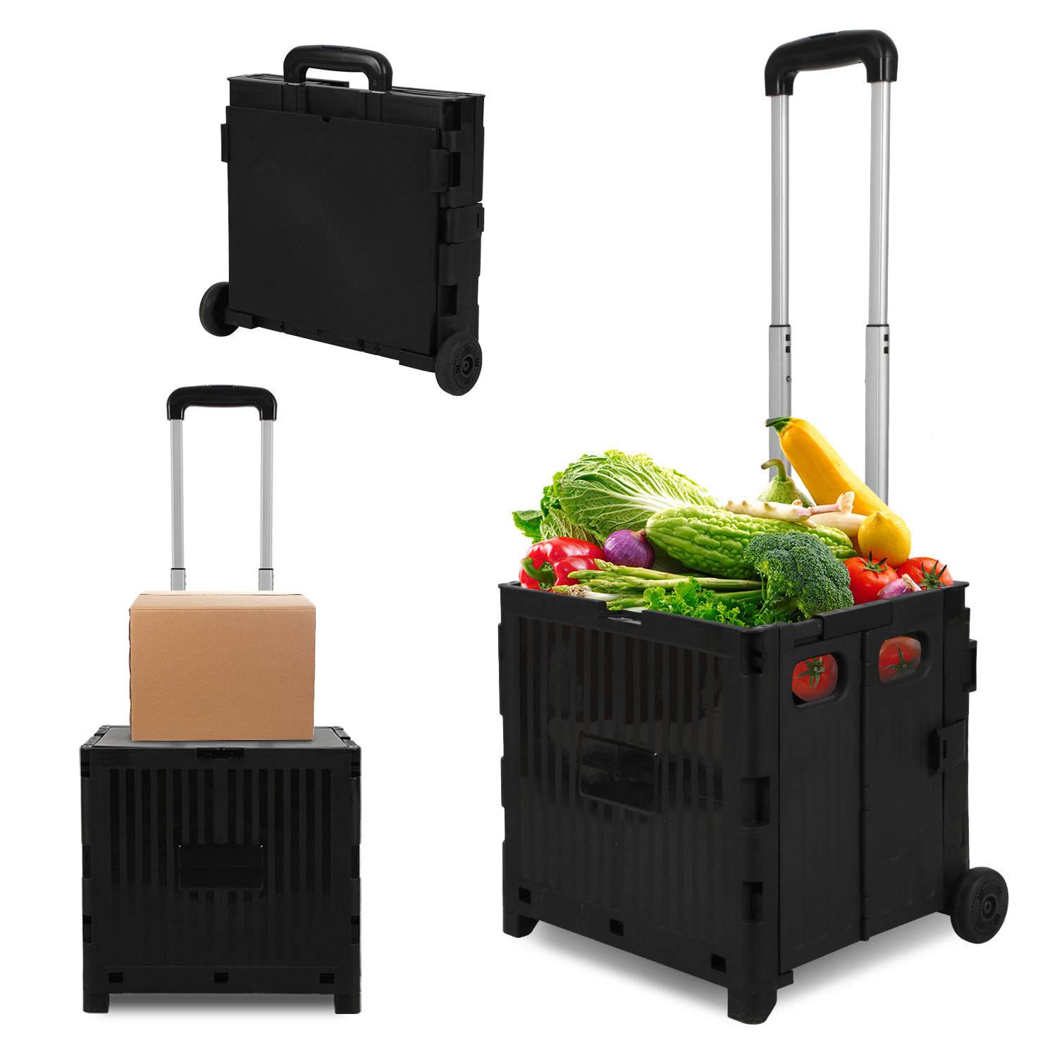 Einkaufstrolley klappbar mit 2 Rädern 45L Transportwagen, überdachter Warenkorb bis 40 kg Schwarz