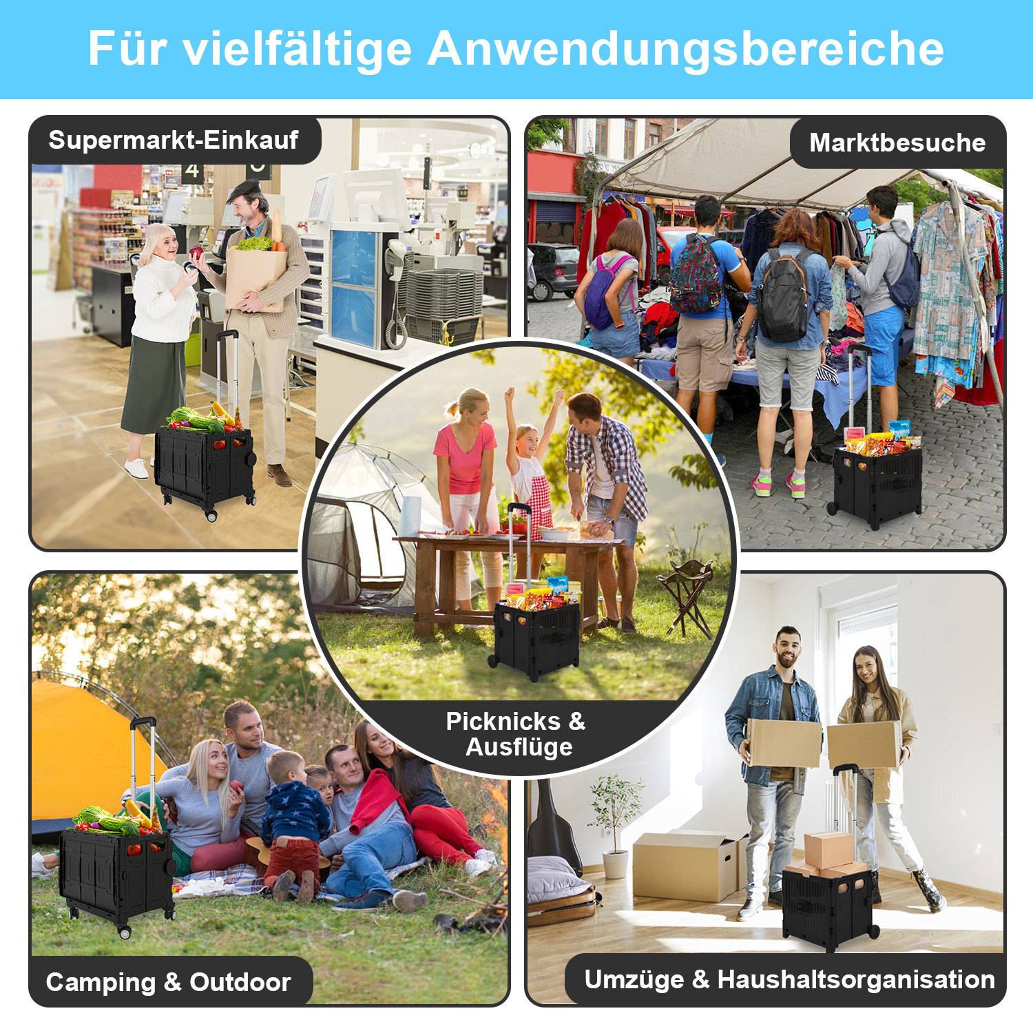 Einkaufstrolley klappbar mit 2 Rädern 45L Transportwagen, überdachter Warenkorb bis 40 kg Schwarz