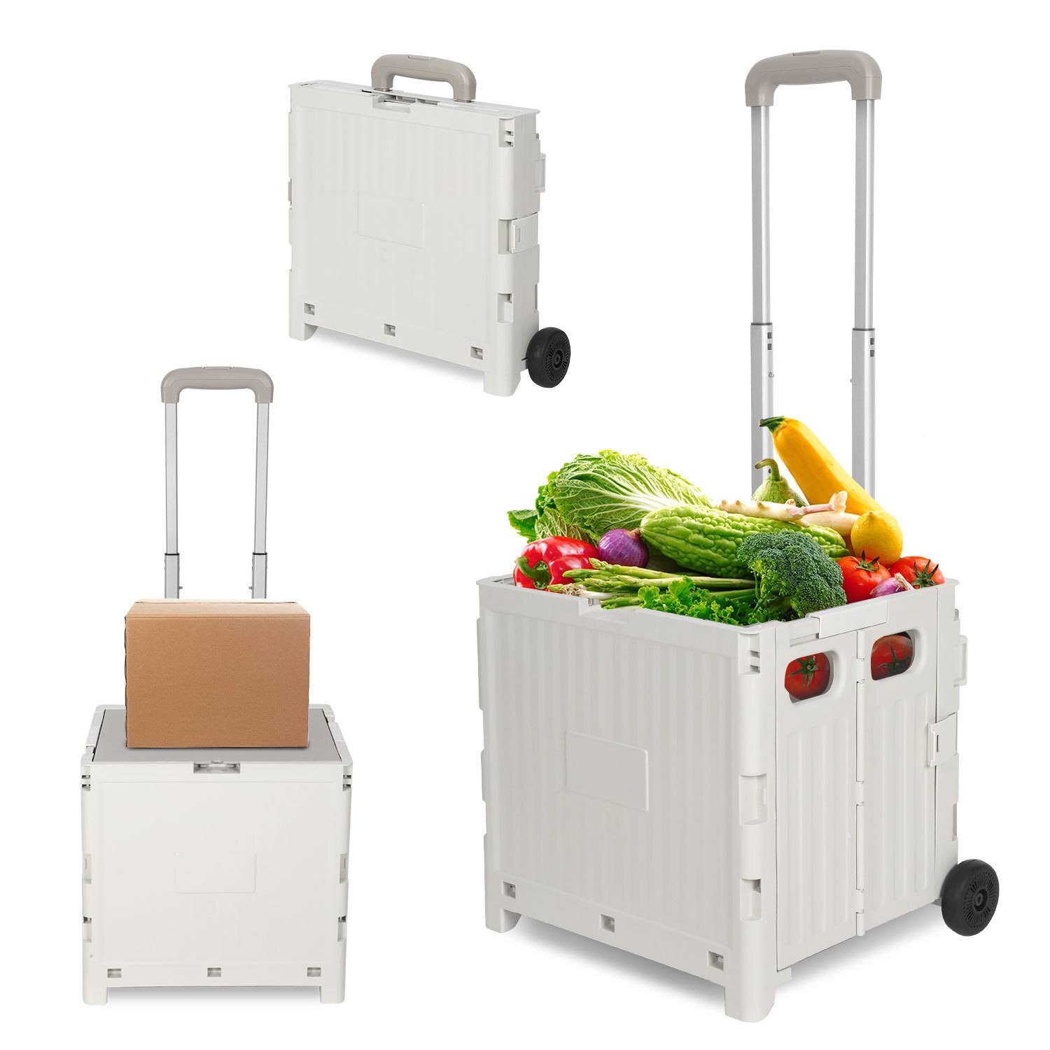 Einkaufstrolley klappbar mit 2 Rädern 45L Transportwagen, überdachter Warenkorb bis 40 kg Weiß