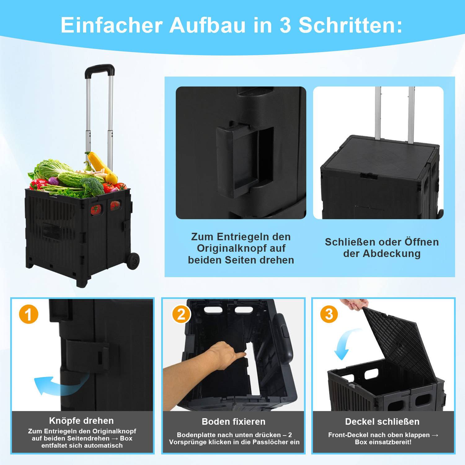 Einkaufstrolley klappbar mit 2 Rädern 45L Transportwagen, überdachter Warenkorb bis 40 kg Schwarz