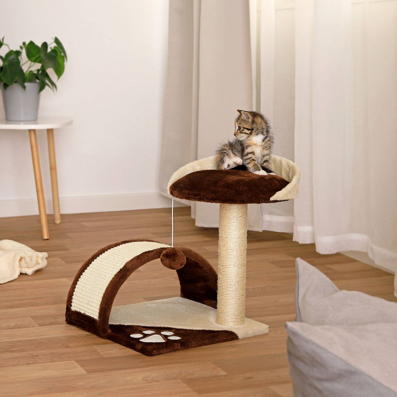 lionto Kompakt-Kratzbaum, kleiner Kratzbaum mit Spielball, Kratzbogen & Aussichtsplattform, platzsparend, Höhe 43 cm, braun/beige