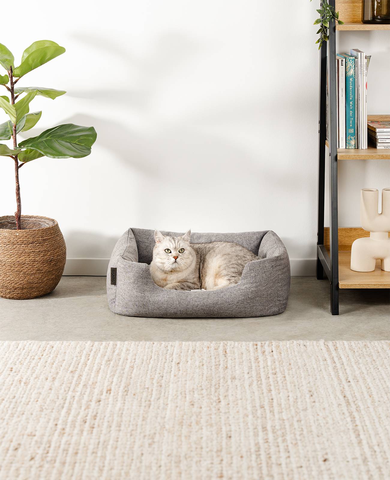 lionto Katzenbett, stilvolles Kuschelkörbchen mit tiefem Einstieg, Wendekissen & rutschfestem Boden, 60x50 cm, grau