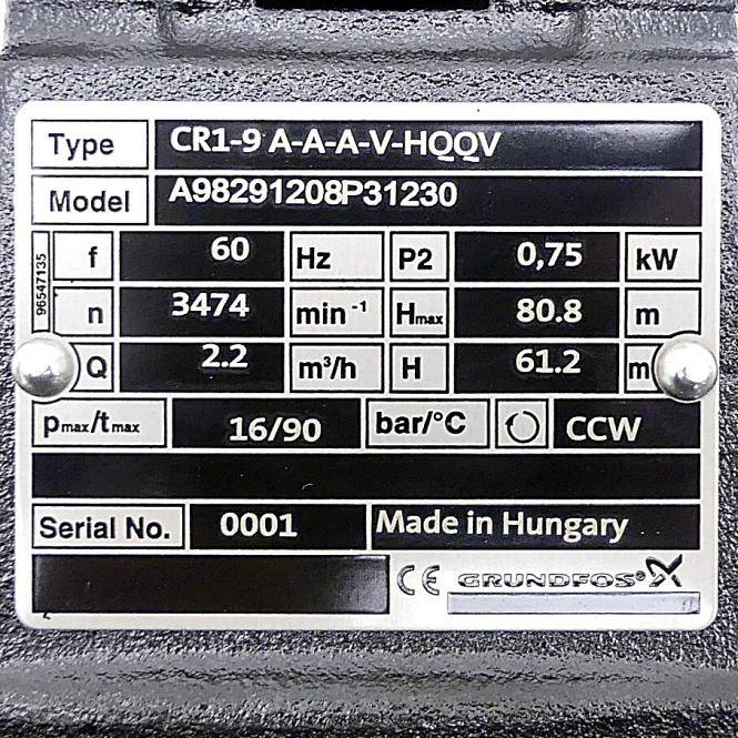 Grundfos Vertikale mehrstufige Kreiselpumpe CR1-9 A-A-A-V-HQQV A98291208P31230 (A98291208P31230)