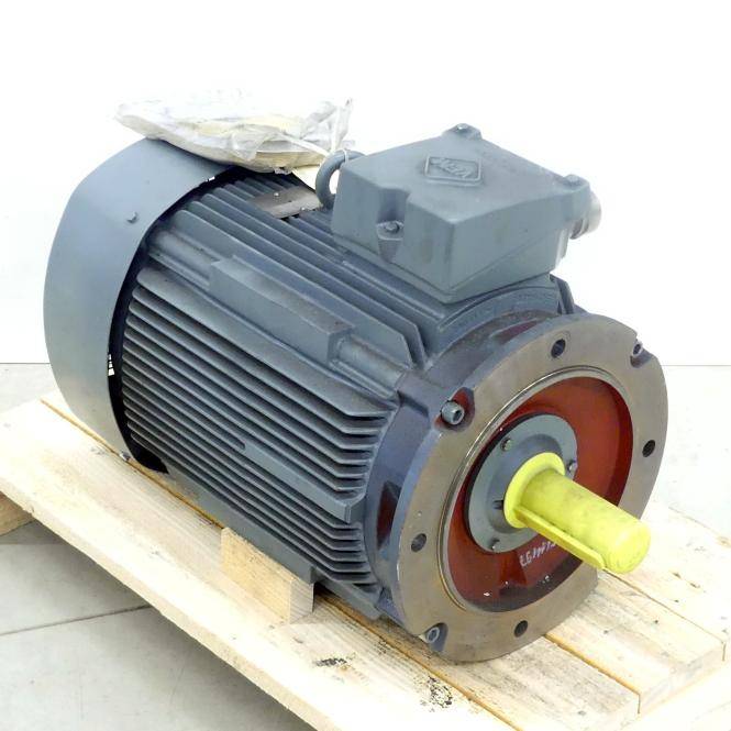 VEM motors Drehstrommotor K11R 180L 4 Exe II T3 TPM HW (136273/0007H)