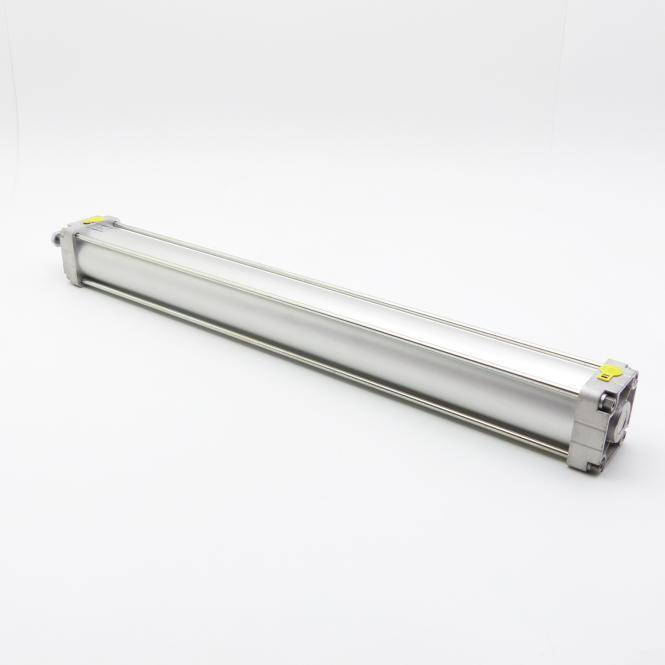 BOSCH Kompaktzylinder 100 x 900 (0 822 245 419)