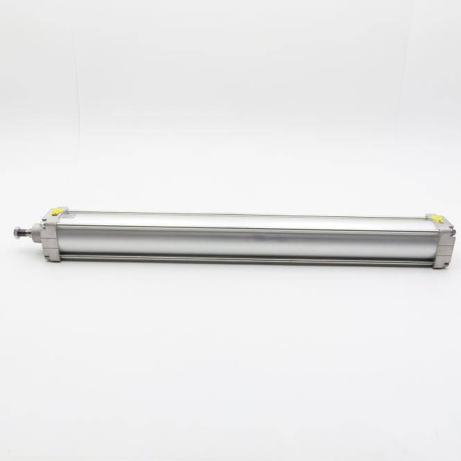 BOSCH Kompaktzylinder 100 x 900 (0 822 245 419)