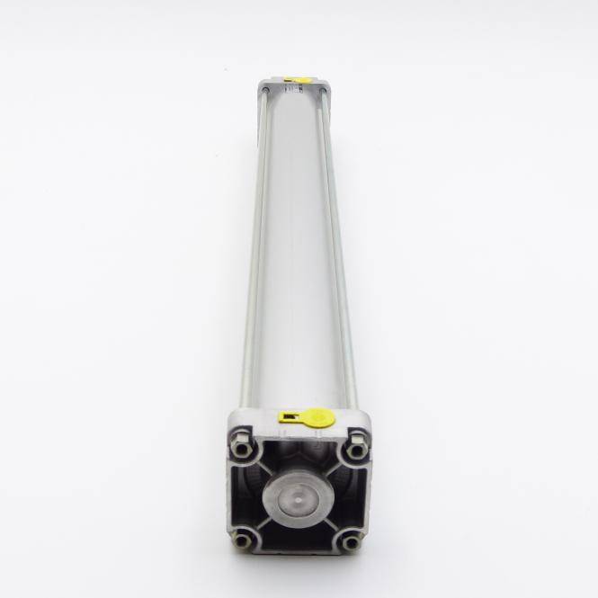BOSCH Kompaktzylinder 100 x 900 (0 822 245 419)