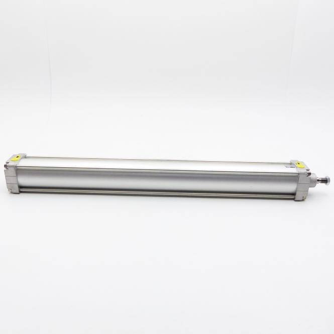BOSCH Kompaktzylinder 100 x 900 (0 822 245 419)
