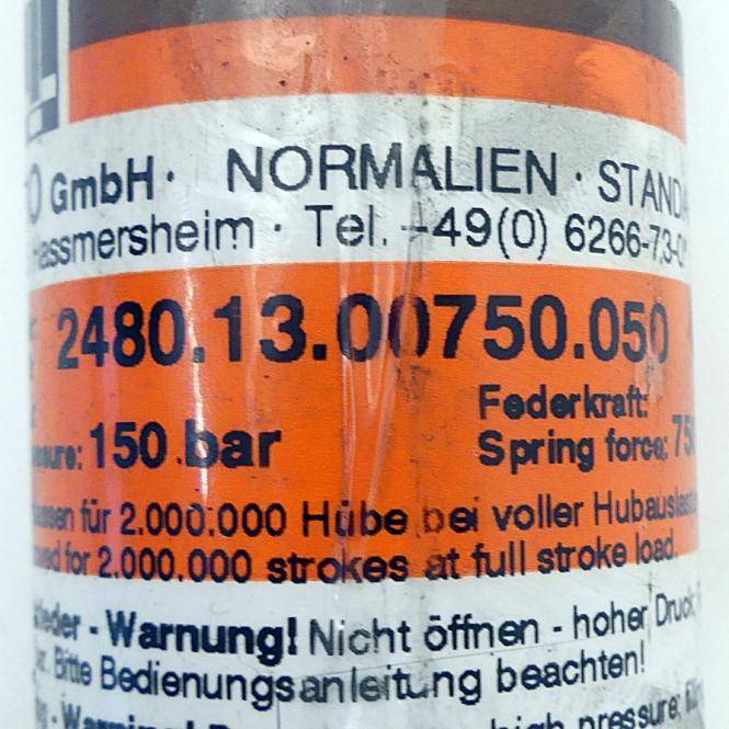 FIBRO Gasdruckfeder (2480.13.00750.050)