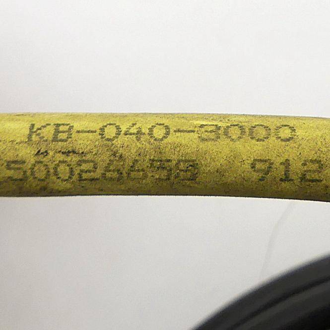 Leuze electronic Verbindungsleitung KB-040-3000 (50026658)