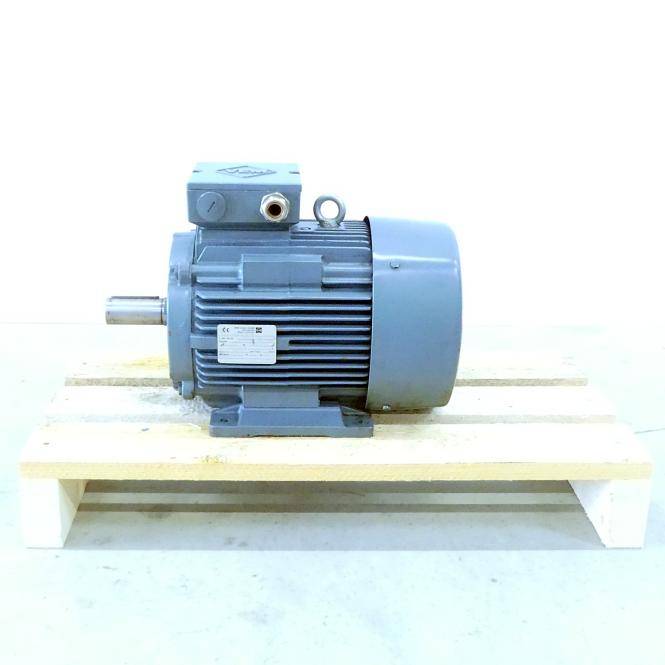 VEM motors Drehstrommotor DINTEN 60034-1F (DINTEN 60034-1F)