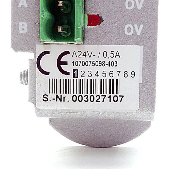 Bosch Ausgangsmodul (1070075098-403)