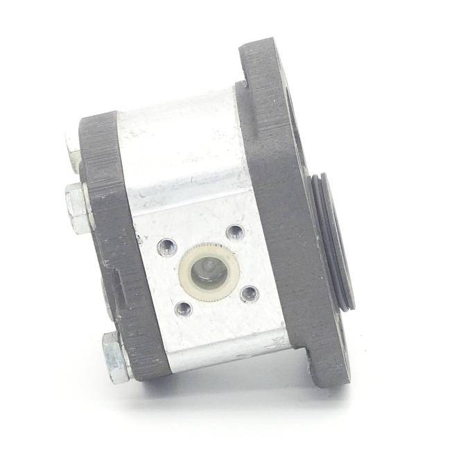 Bosch Zahnradpumpe (1 517 222 296)