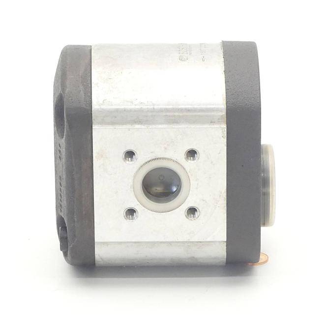 BOSCH Zahnradpumpe (1 517 222 318)
