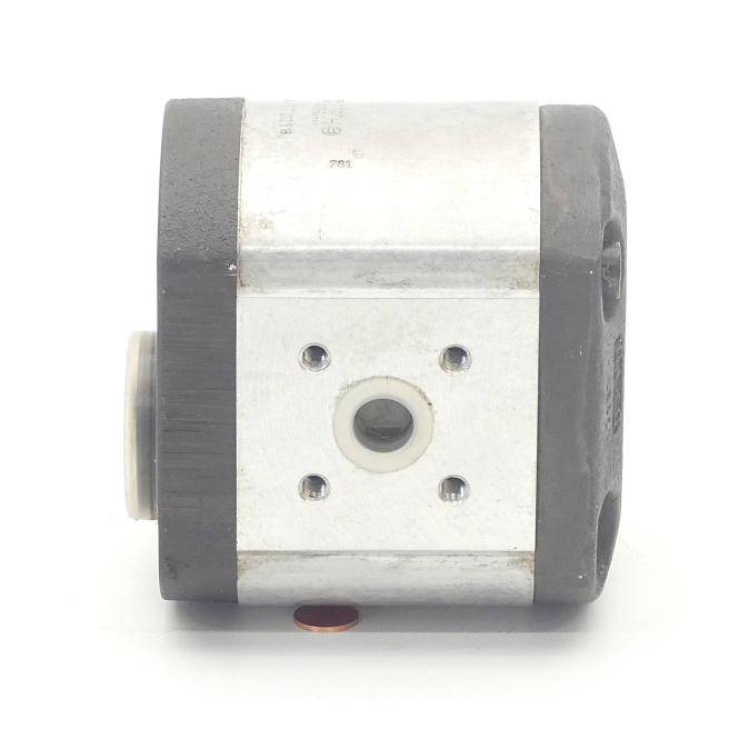 BOSCH Zahnradpumpe (1 517 222 318)
