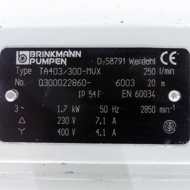 BRINKMANN PUMPS Tauchpumpe (TA403/300-MVX)