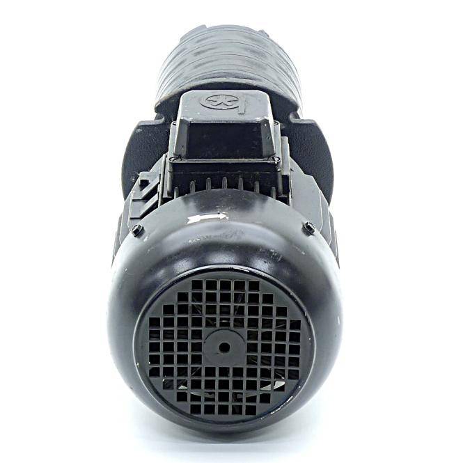 BRINKMANN PUMPS Tauchpumpe TE144/220+001 (TE144/220+001)