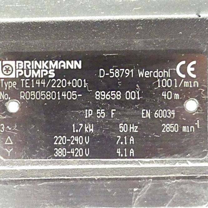 BRINKMANN PUMPS Tauchpumpe TE144/220+001 (TE144/220+001)