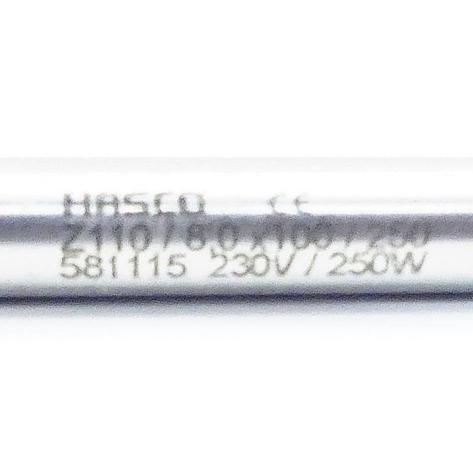 Hasco Hochleistungs-Heizpatronen mit verlängertem Anschlusskabel 8x100 / 250 (Z110 8x100 250)