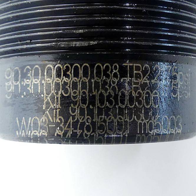 DADCO Gasdruckfeder (90.30.003000.038.TB2.2175)