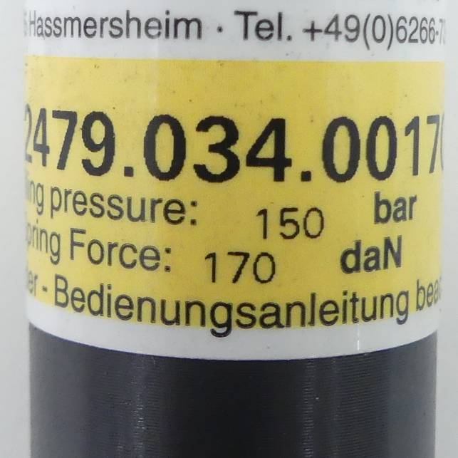 FIBRO Gasdruckfeder (2479.034.00170.100)