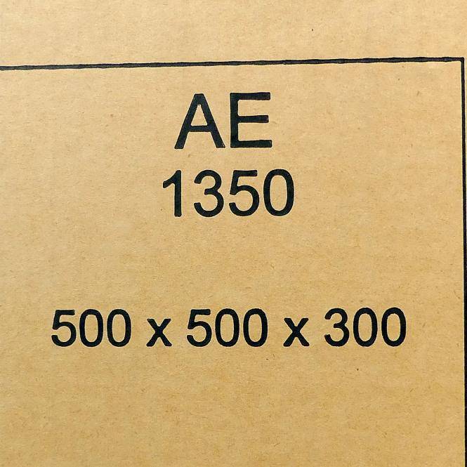 Rittal Schaltschrank AE 1350.009 (AE 1350.009)