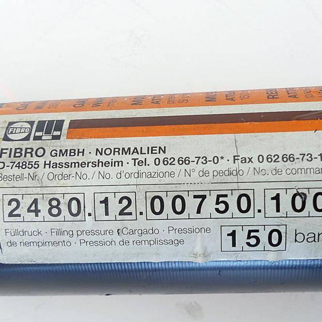 FIBRO Gasdruckfeder (2480.12.00750.100)