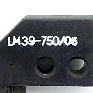 SICK Lichtwellenleiter LM39-750/06 (LM39-750/06)