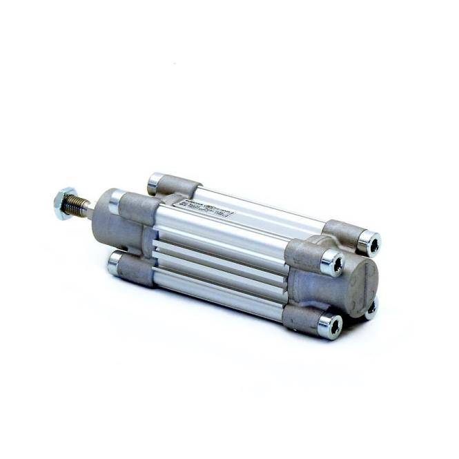 AVENTICS Profilzylinder PRA-DA-032-0040-0-2-2-1-1-1-BAS (0822120012)