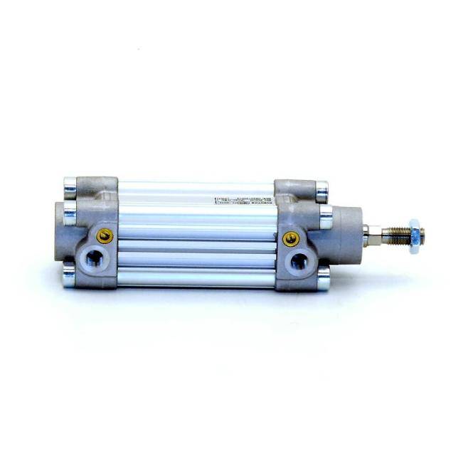 AVENTICS Profilzylinder PRA-DA-032-0040-0-2-2-1-1-1-BAS (0822120012)
