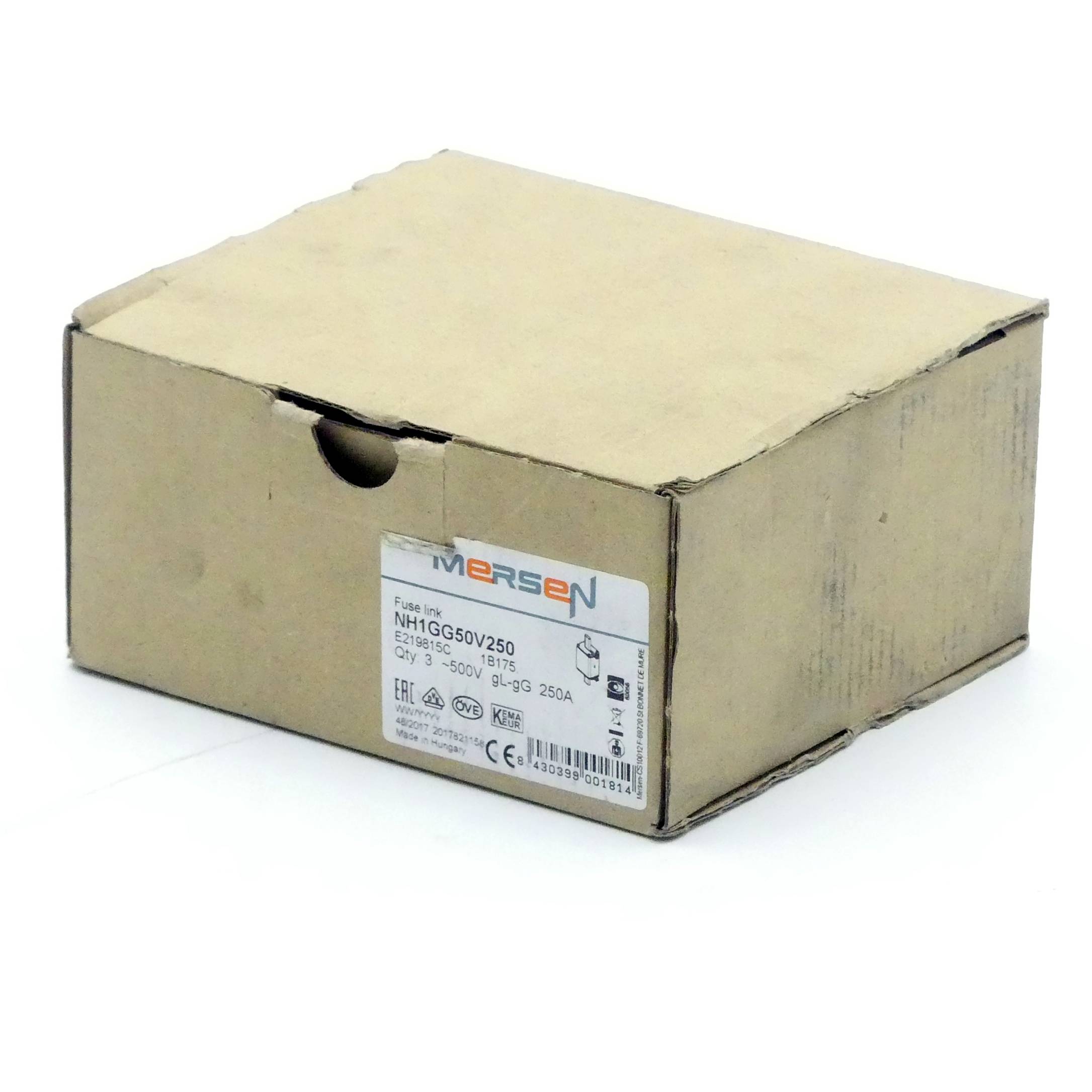 Siemens Sicherungseinsatz NH1GG50V250 (E219815C)