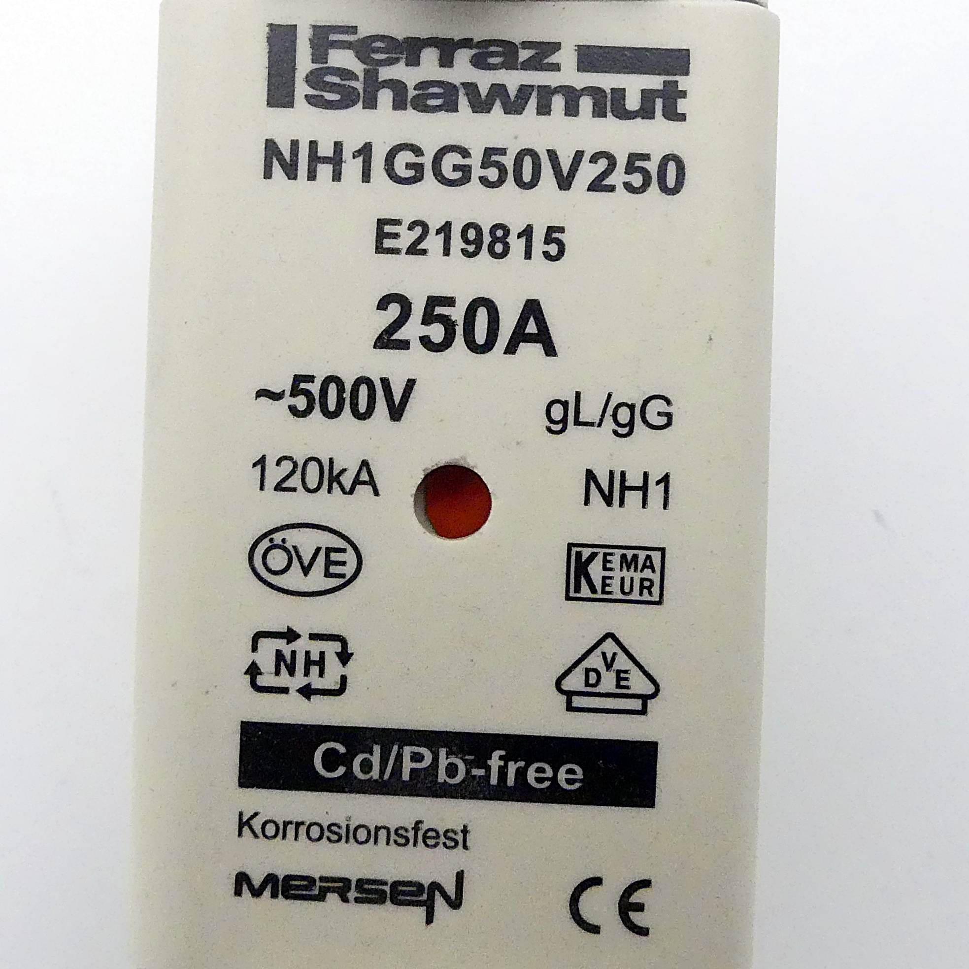 Siemens Sicherungseinsatz NH1GG50V250 (E219815C)