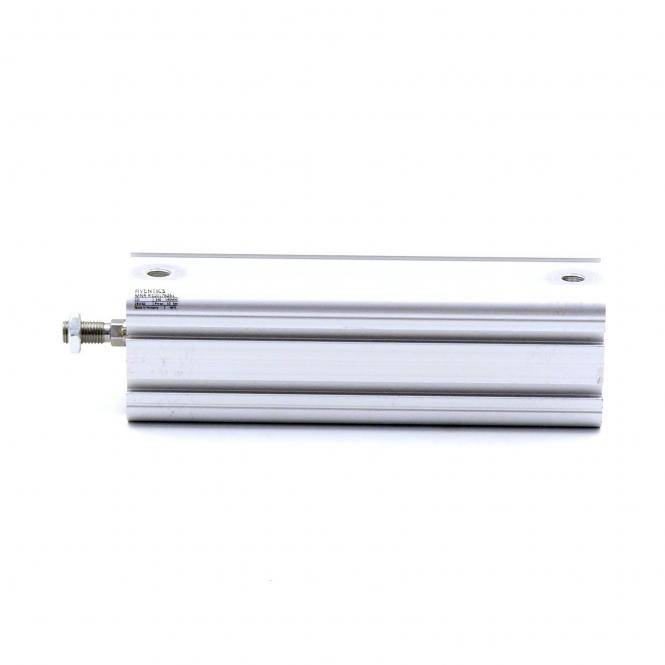 AVENTICS Pneumatikzylinder (R480178261)