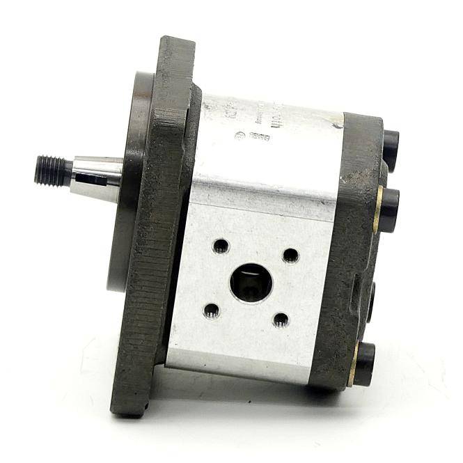Bosch Zahnradpumpe (0 510 425 009)