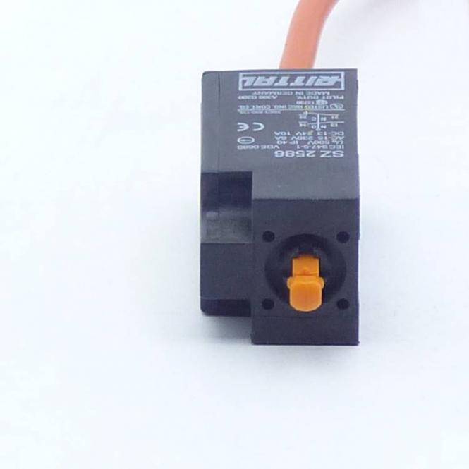 Rittal Sicherheitsschalter (SZ 2586)