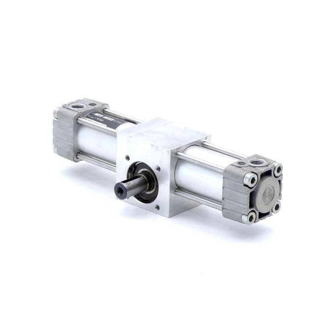 Bosch Schwenkzylinder 0 822 931 204 (0 822 931 204)