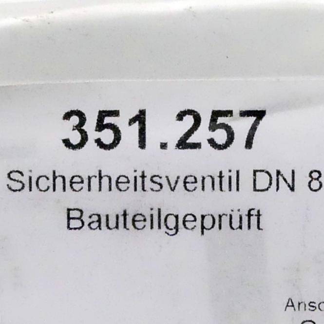 ewo Sicherheitsventil 2266-SV-02-2-8-D/6-0,32-p (351.257)