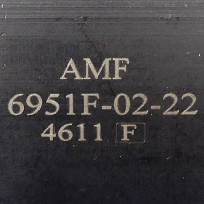 AMF Schwenkspanner (6951F-02-22)