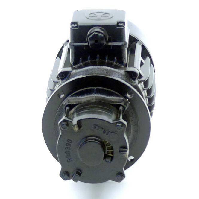 BRINKMANN PUMPS Tauchpumpe B32-T02GBV+001 (0612006280)
