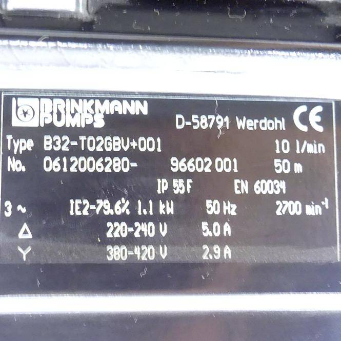 BRINKMANN PUMPS Tauchpumpe B32-T02GBV+001 (0612006280)