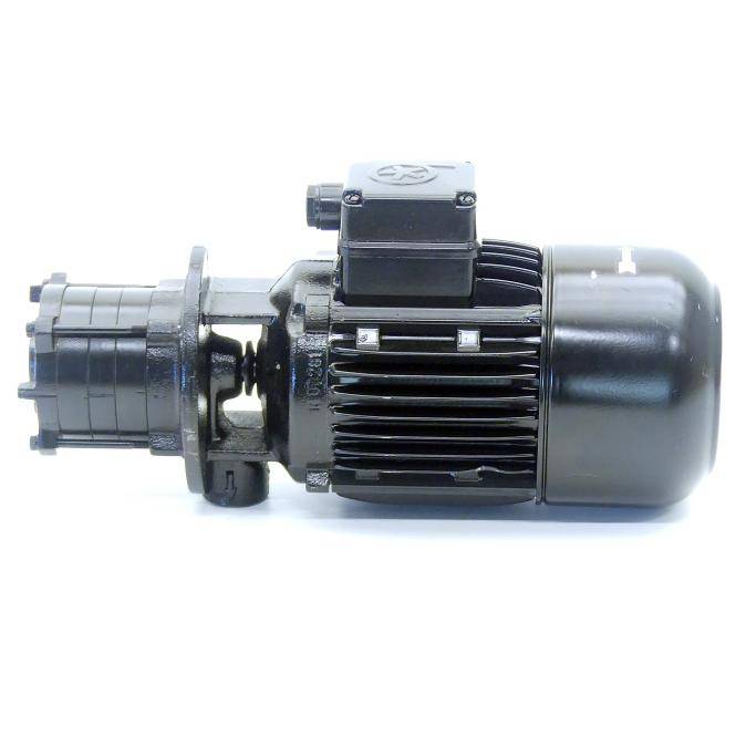 BRINKMANN PUMPS Tauchpumpe B32-T02GBV+001 (0612006280)