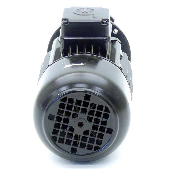 BRINKMANN PUMPS Tauchpumpe B32-T02GBV+001 (0612006280)