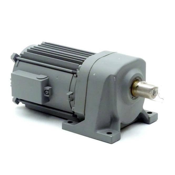 Hitachi 3-Phasen-Getriebemotor (CA24-020-100)