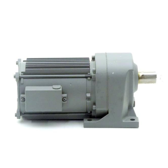Hitachi 3-Phasen-Getriebemotor (CA24-020-100)
