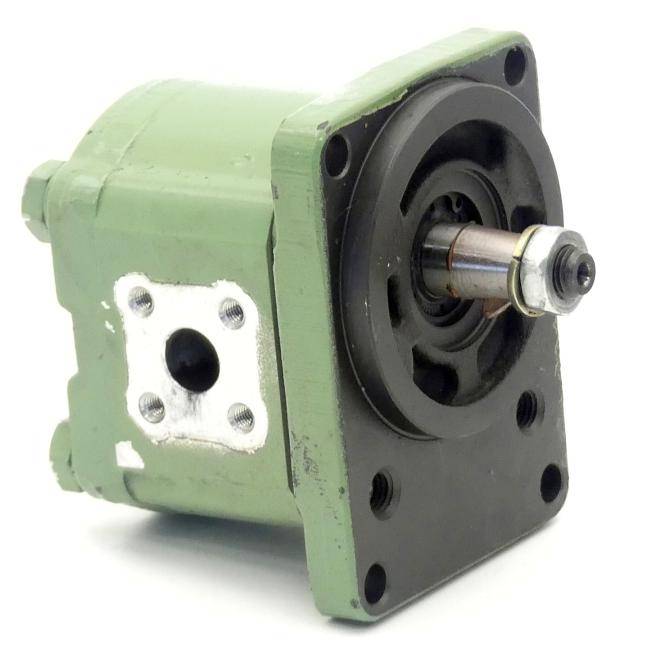 BOSCH Zahnradpumpe (0510 325 306)