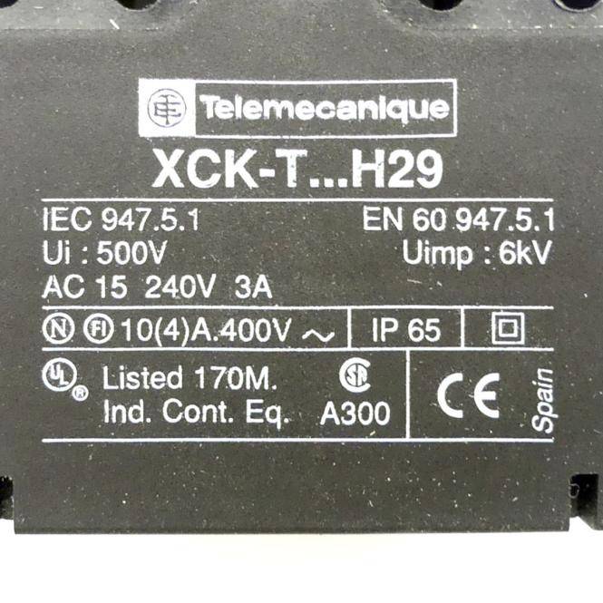 TELEMECANIQUE Endschalter (XCK T511H29)