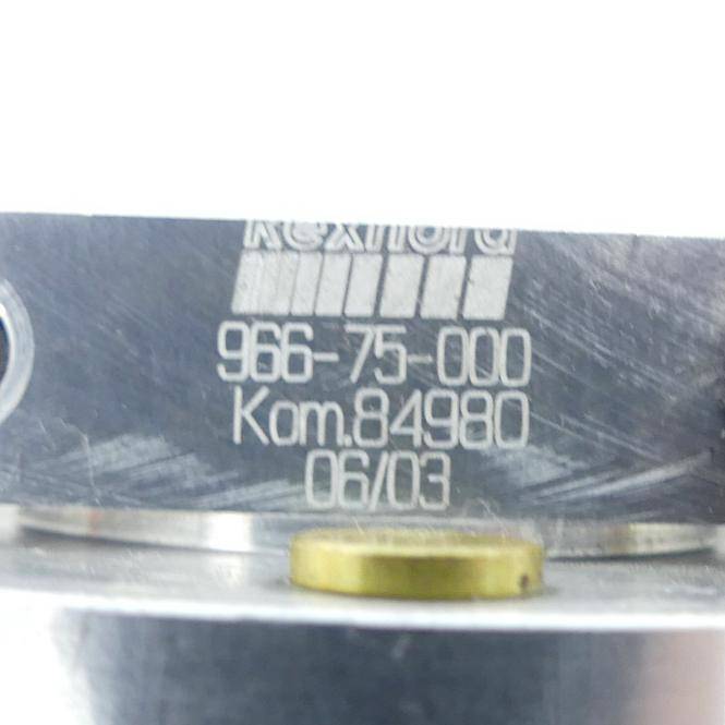 Rexnord Flexible Kupplung 966-75-000 (84980)