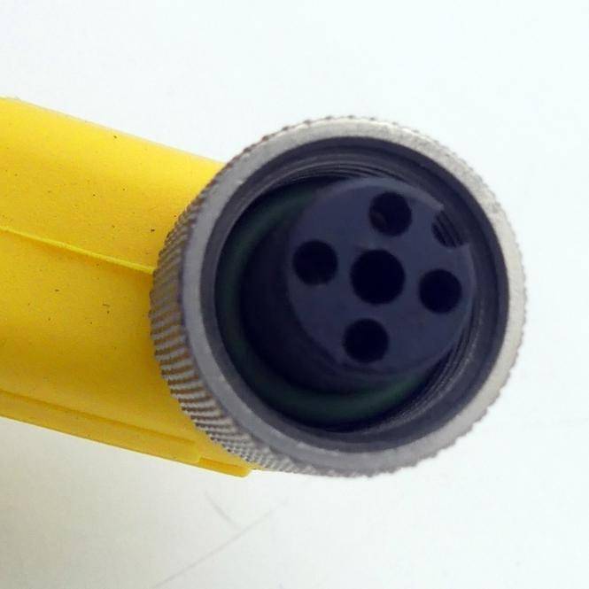 lumberg Sensorkabel (ASB2-RKWT 4-3-637/2M)